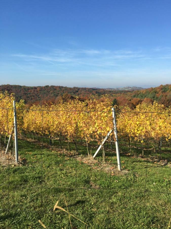 Riegler'S Buschenschank Fürstenfeld Eksteriør bilde